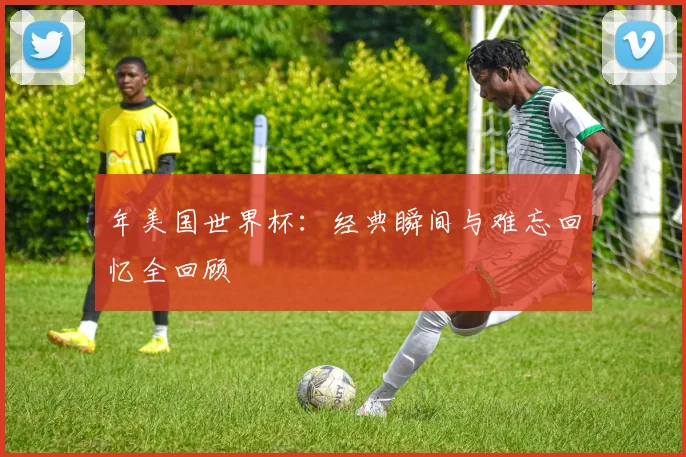 年美国世界杯：经典瞬间与难忘回忆全回顾