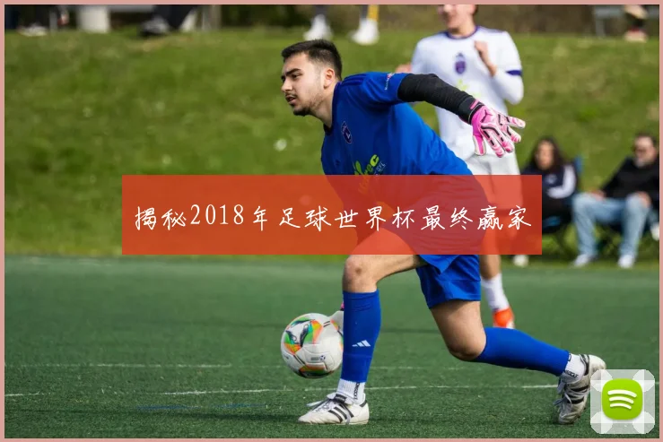 揭秘2018年足球世界杯最终赢家