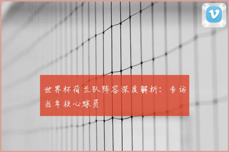 世界杯荷兰队阵容深度解析：专访当年核心球员
