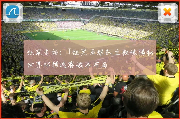 独家专访：I组黑马球队主教练揭秘世界杯预选赛战术布局