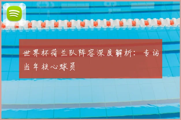世界杯荷兰队阵容深度解析：专访当年核心球员