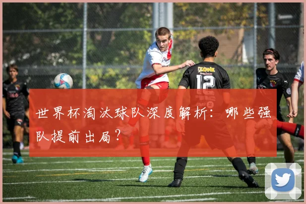 世界杯淘汰球队深度解析：哪些强队提前出局？