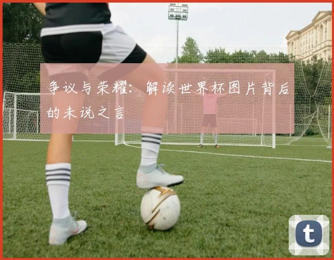 争议与荣耀：解读世界杯图片背后的未说之言