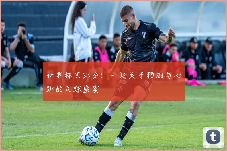 世界杯买比分：一场关于预测与心跳的足球盛宴