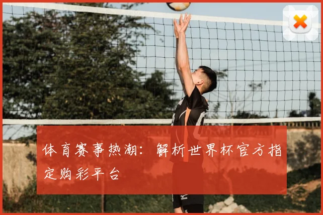 体育赛事热潮：解析世界杯官方指定购彩平台