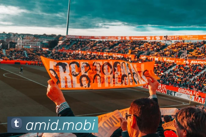 开云手机网页入口发展历程